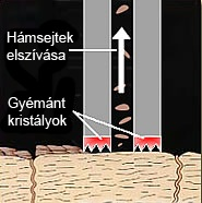 images/gigi/mikrodermabrazio-5.png